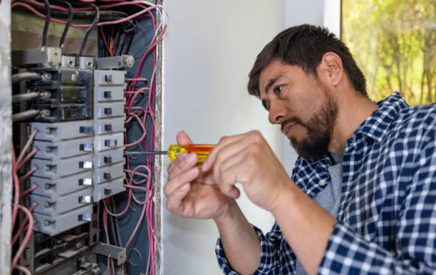 Best Electric Panel Repair  in Watertown, MN